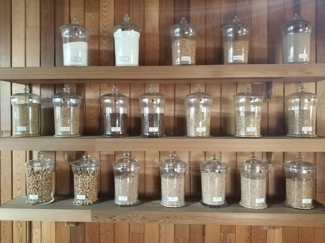 游学日志(一) 游学日志(一)