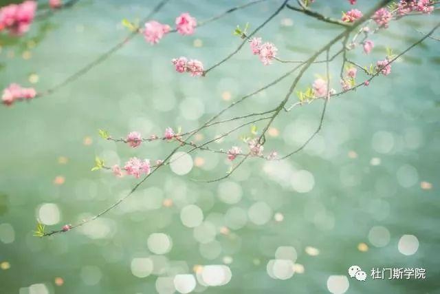 听说,春风最配美酒 听说,春风最配美酒