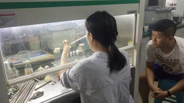 那些天,你错过的酵母必修课,Don't Cry ,我们明年见! 那些天,你错过的酵母必修课,Don't Cry ,我们明年见!