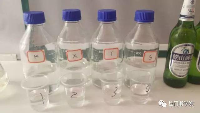 蛙声蝉鸣,杜门斯6月精酿技术回顾 蛙声蝉鸣,杜门斯6月精酿技术回顾