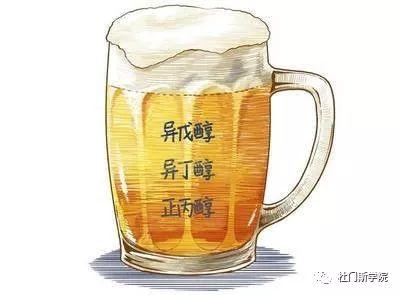 啤酒“上头”原因及预防 啤酒“上头”原因及预防