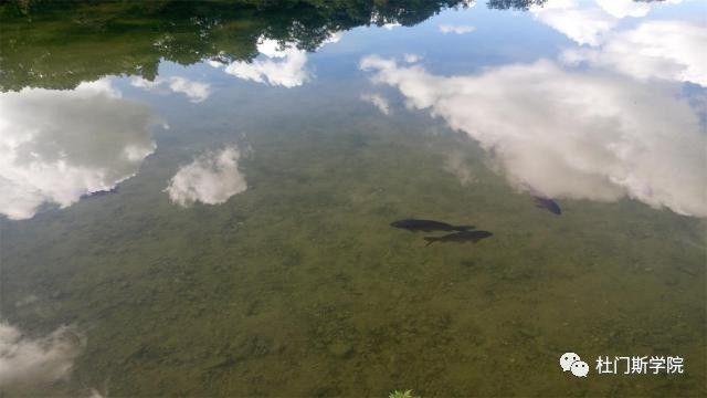 2017德国游学---终极篇 2017德国游学---终极篇