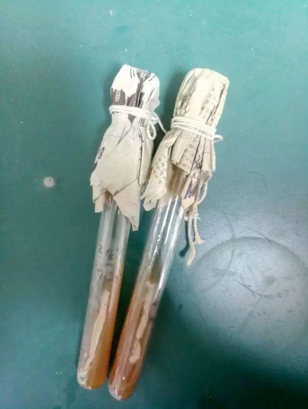 那些天,你错过的酵母必修课,Don't Cry ,我们明年见! 那些天,你错过的酵母必修课,Don't Cry ,我们明年见!