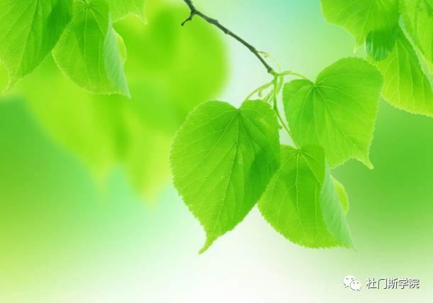 3月春风,精酿培训回顾 3月春风,精酿培训回顾