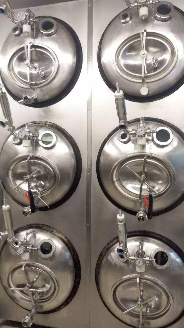 2016德国游学趣闻(Ⅲ)——走进杜门斯学院 2016德国游学趣闻(Ⅲ)——走进杜门斯学院