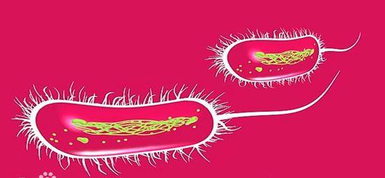 干货课堂|啤酒生产卫生危害 干货课堂|啤酒生产卫生危害