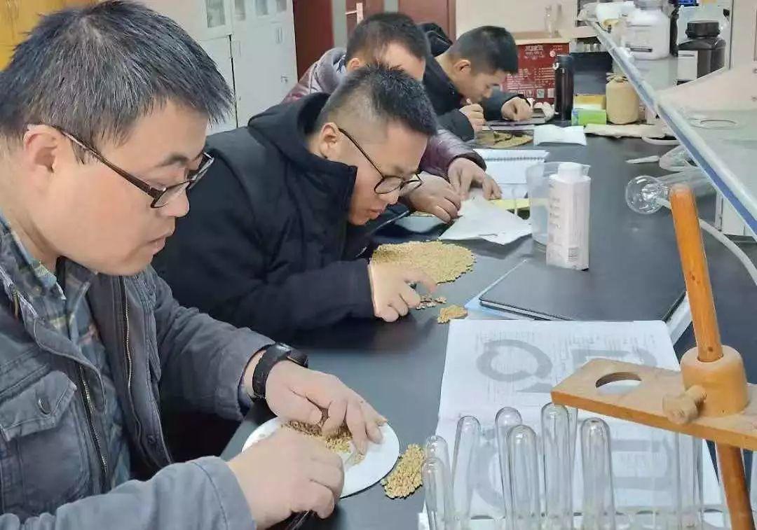 有一段回忆在这里(下) 有一段回忆在这里(下)