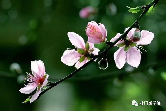 美酒春风配|等的就是你 美酒春风配|等的就是你