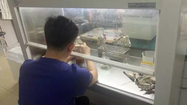 那些天,你错过的酵母必修课,Don't Cry ,我们明年见! 那些天,你错过的酵母必修课,Don't Cry ,我们明年见!