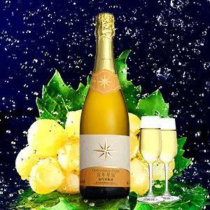 Cider——春风十里不如“你” Cider——春风十里不如“你”