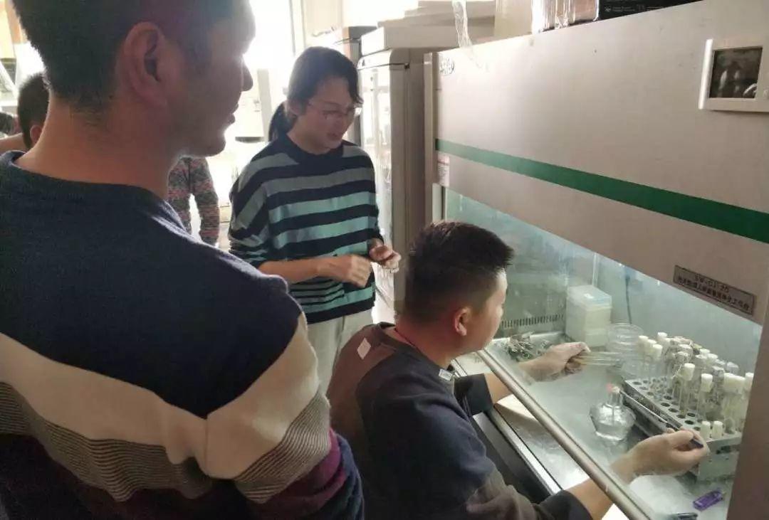 有一段回忆在这里(下) 有一段回忆在这里(下)