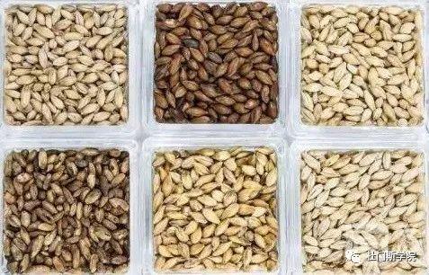 特种麦芽在啤酒酿造中的应用 特种麦芽在啤酒酿造中的应用