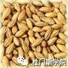 【干货】特种麦芽选择制造 【干货】特种麦芽选择制造