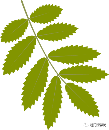 再不懂精酿啤酒品评,2017年可就要过完啦! 再不懂精酿啤酒品评,2017年可就要过完啦!