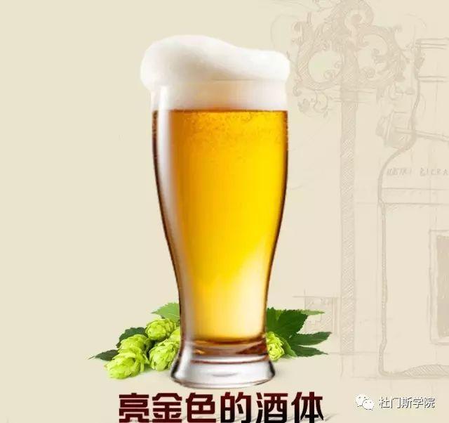 德国啤酒大师带你玩转精酿 德国啤酒大师带你玩转精酿