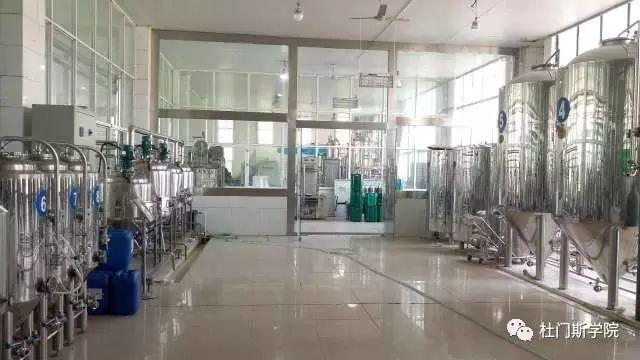 3月春风,精酿培训回顾 3月春风,精酿培训回顾