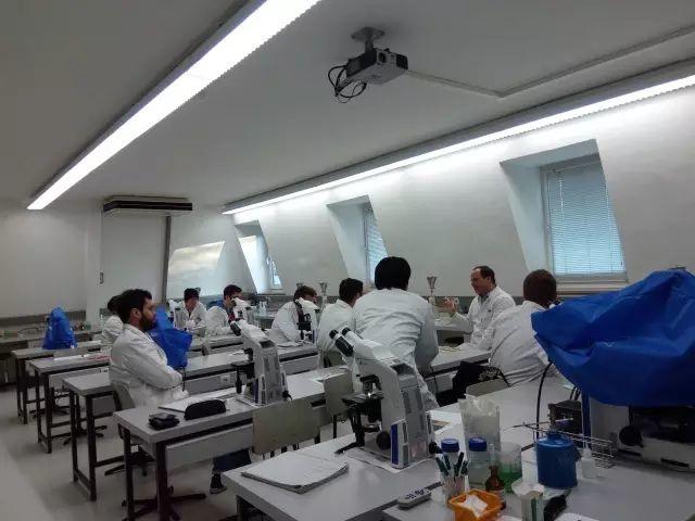 德国游学趣闻(Ⅲ)——走进杜门斯学院 德国游学趣闻(Ⅲ)——走进杜门斯学院