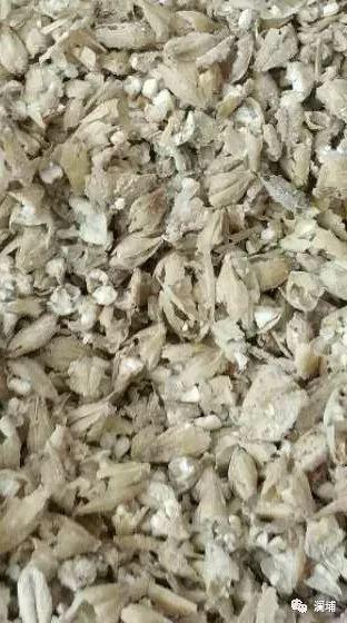 干货|影响淀粉分解的因素 干货|影响淀粉分解的因素