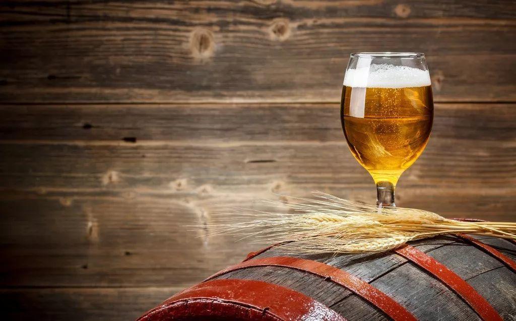 干货|影响淀粉分解的因素 干货|影响淀粉分解的因素