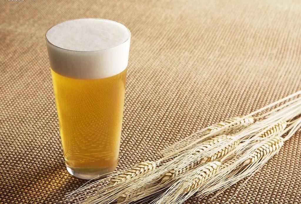 干货|影响淀粉分解的因素 干货|影响淀粉分解的因素