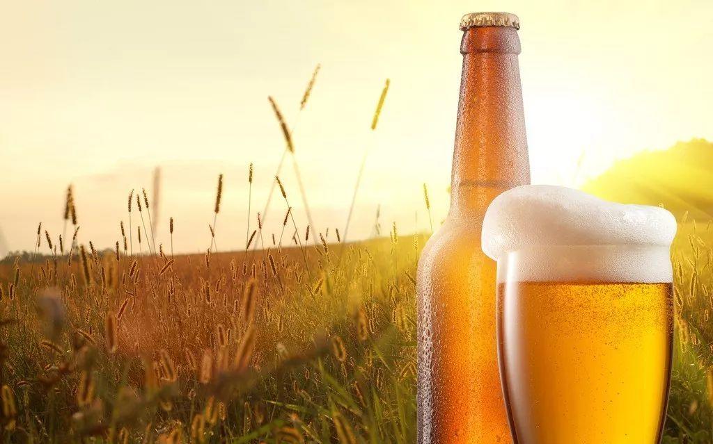 干货|影响淀粉分解的因素 干货|影响淀粉分解的因素