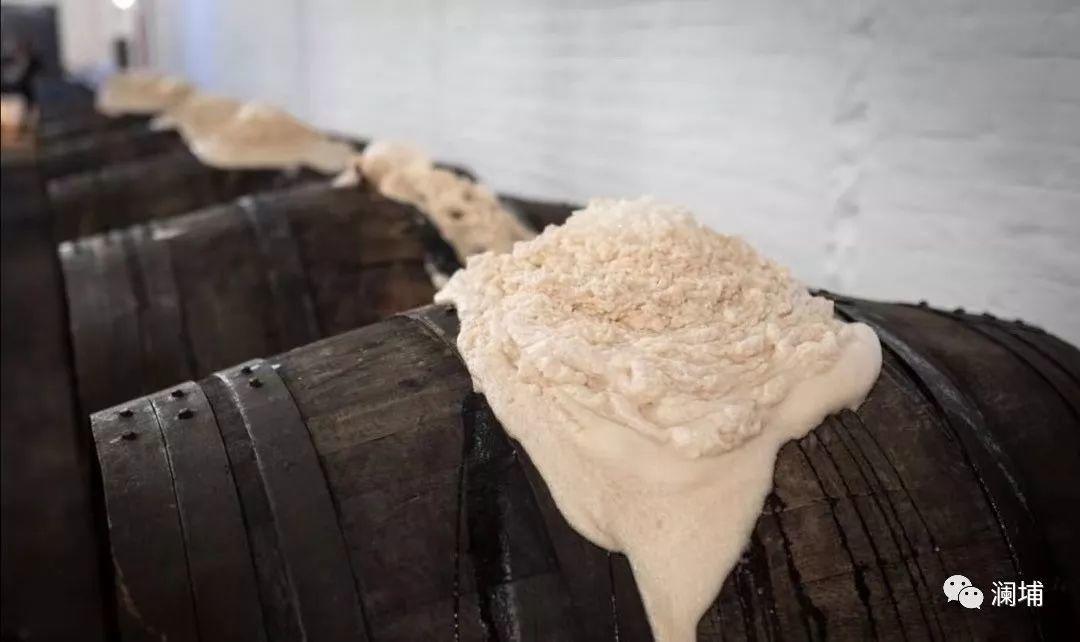 回顾||带着”酒瓶“去欧洲 回顾||带着”酒瓶“去欧洲