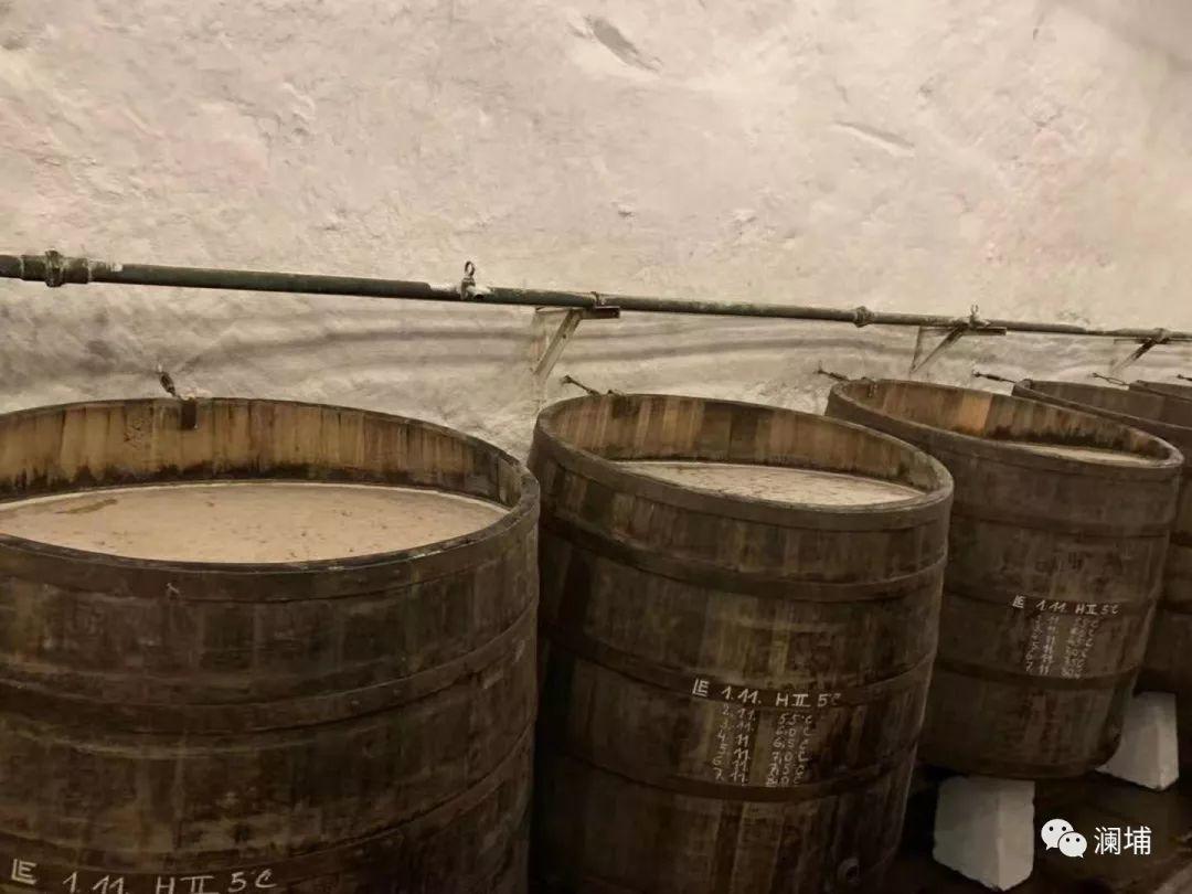 回顾||带着”酒瓶“去欧洲 回顾||带着”酒瓶“去欧洲