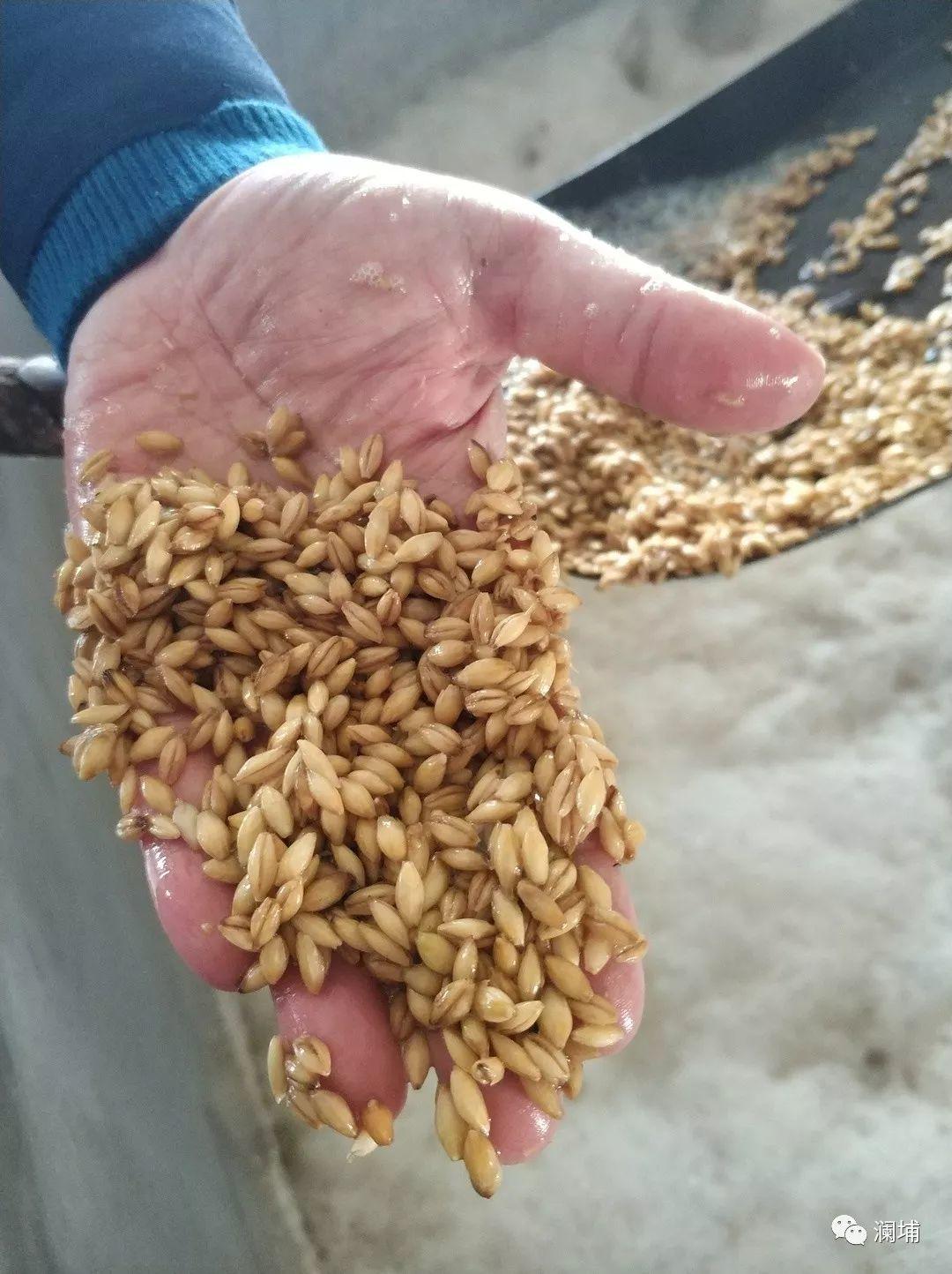 步履不停,酿造正当时。。。 步履不停,酿造正当时。。。