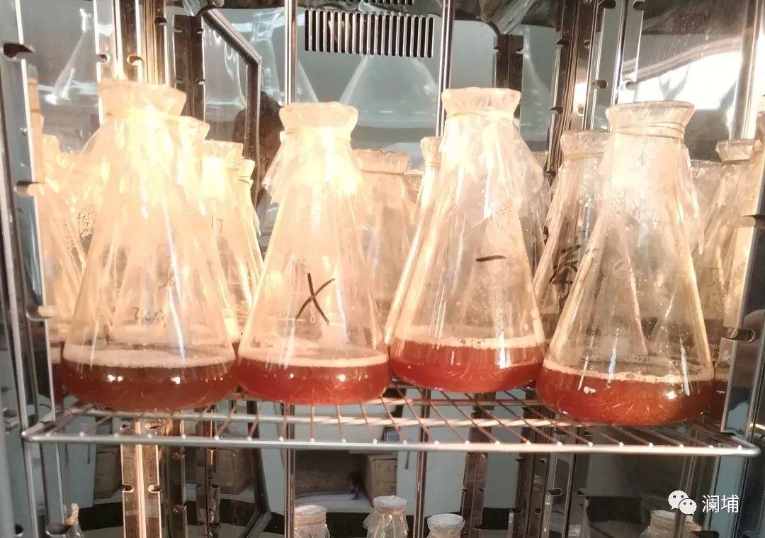 步履不停,酿造正当时。。。 步履不停,酿造正当时。。。