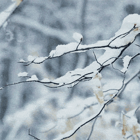 你好,2020! 你好,2020!