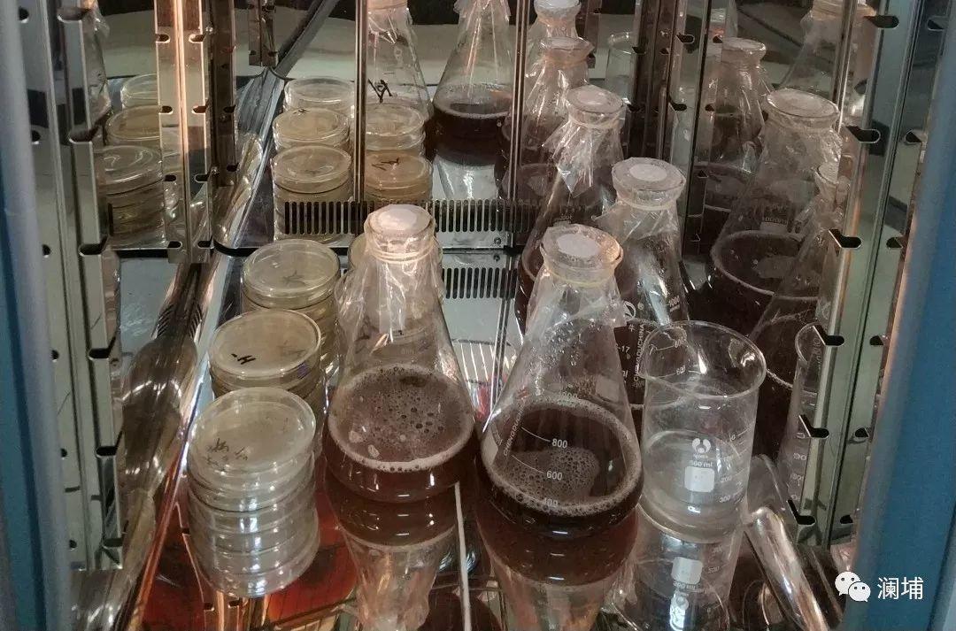 步履不停,酿造正当时。。。 步履不停,酿造正当时。。。