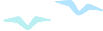 跟着美国酿酒师,学如何酿造经典风格啤酒 跟着美国酿酒师,学如何酿造经典风格啤酒