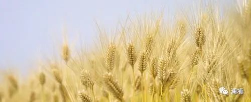 同学,这有一份工艺课邀请在等你。。。 同学,这有一份工艺课邀请在等你。。。