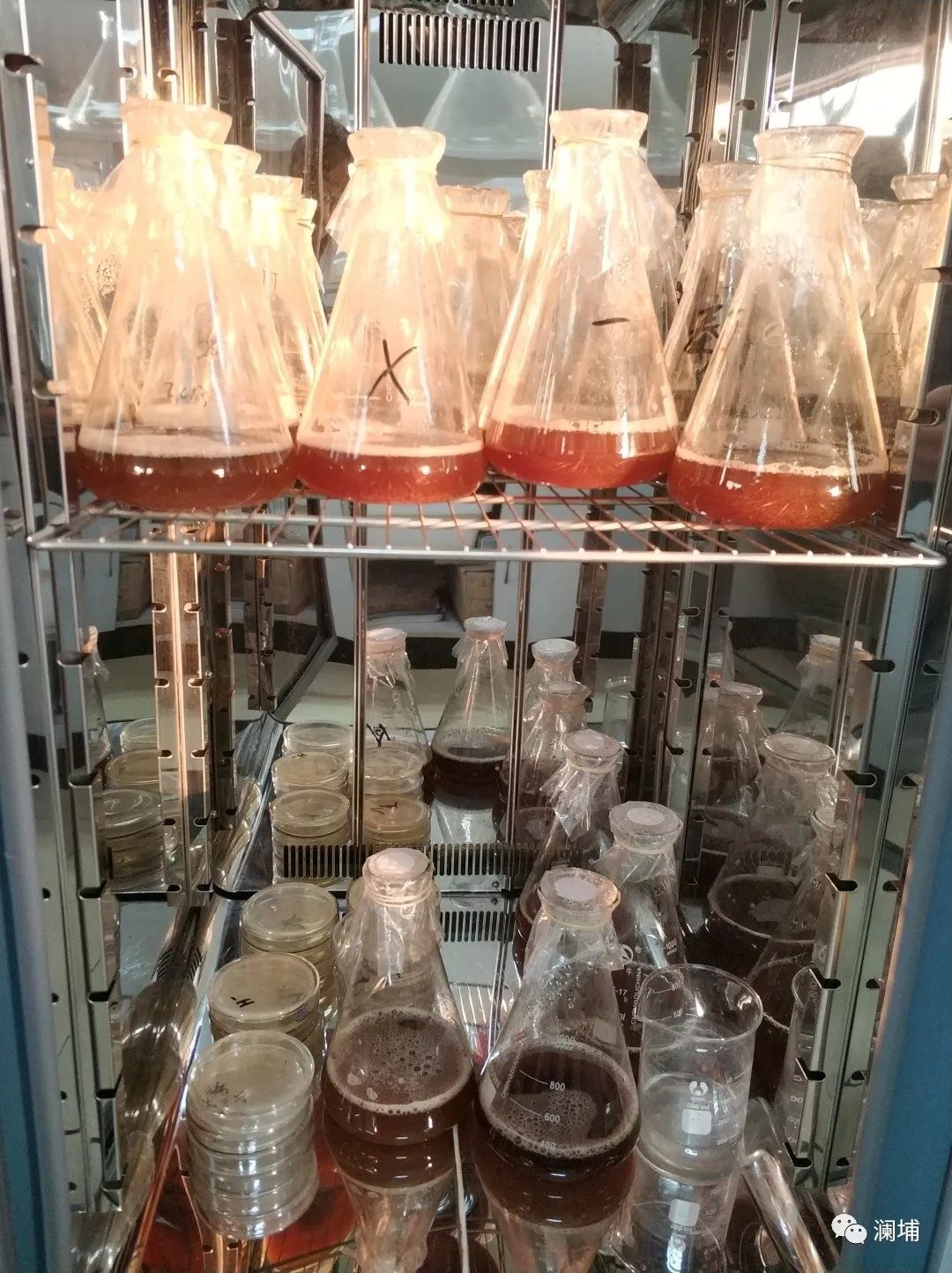 初心如磐,酿造不凡 初心如磐,酿造不凡