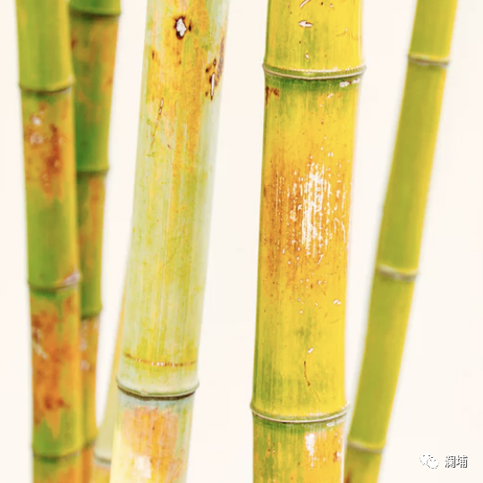 回顾||秋天酿造的第一杯啤酒 回顾||秋天酿造的第一杯啤酒