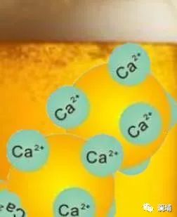 锦囊|关于酿造中“钙”的那些事儿 锦囊|关于酿造中“钙”的那些事儿
