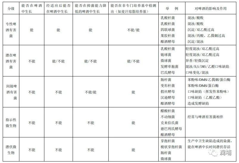 啤酒有害菌及其对啤酒的影响 啤酒有害菌及其对啤酒的影响