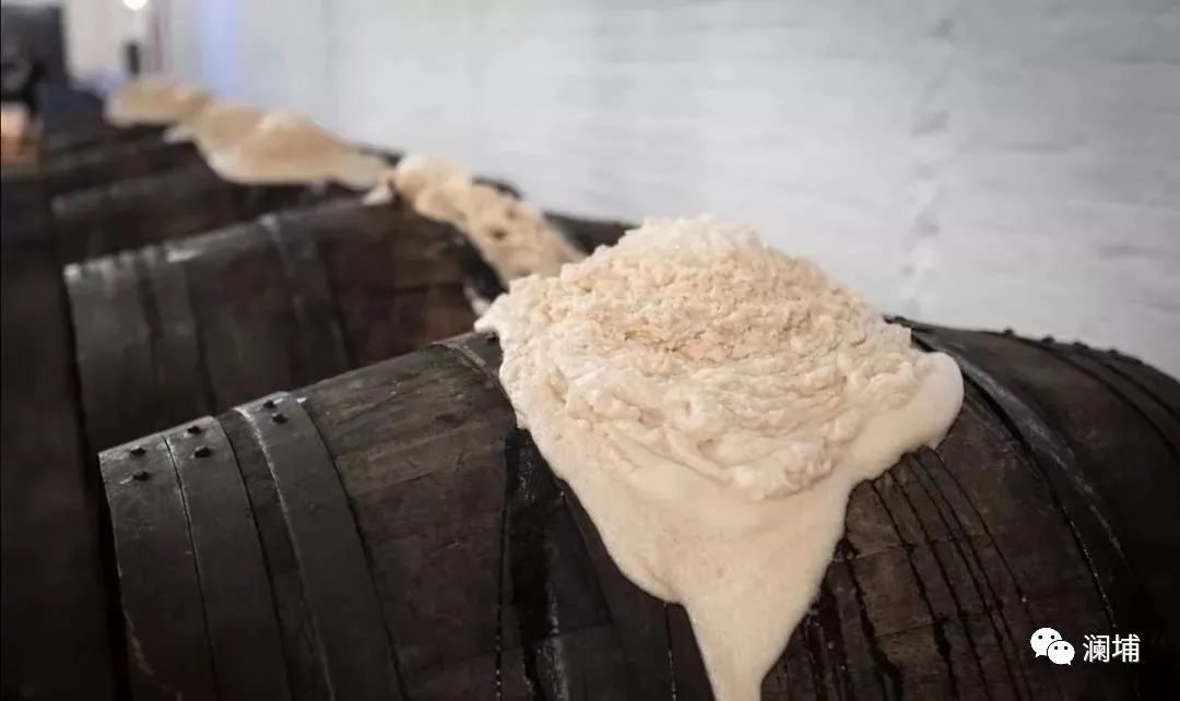 干货|如何制订啤酒发酵工艺 干货|如何制订啤酒发酵工艺