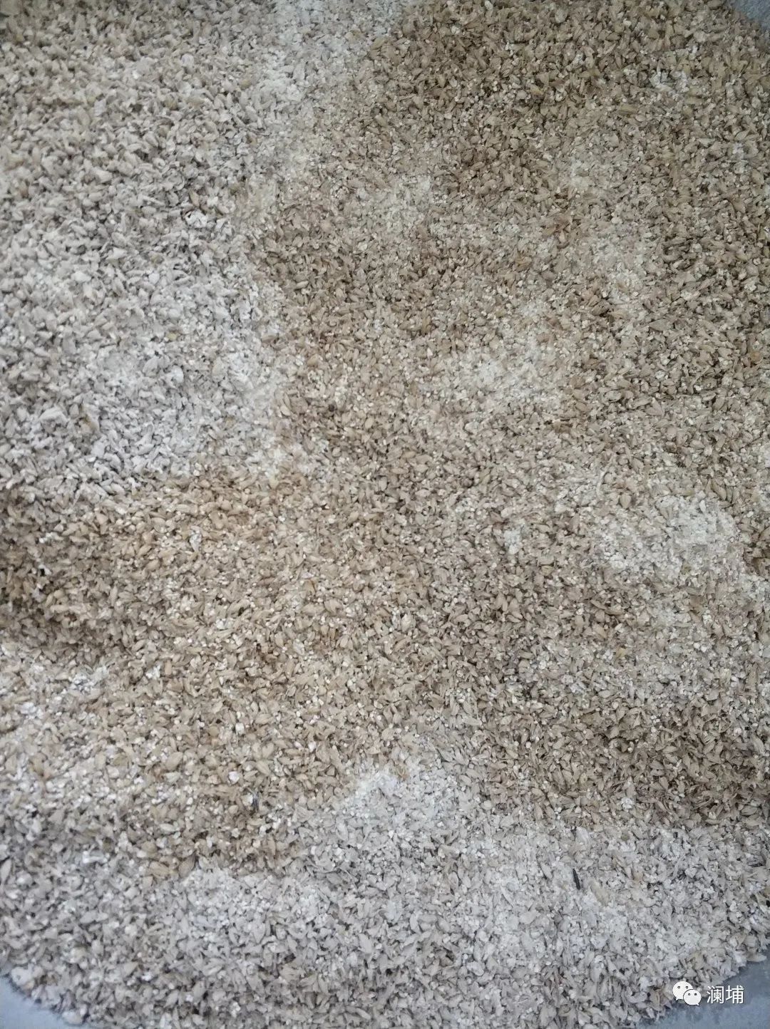 8月啤酒酿造初级课通知 8月啤酒酿造初级课通知