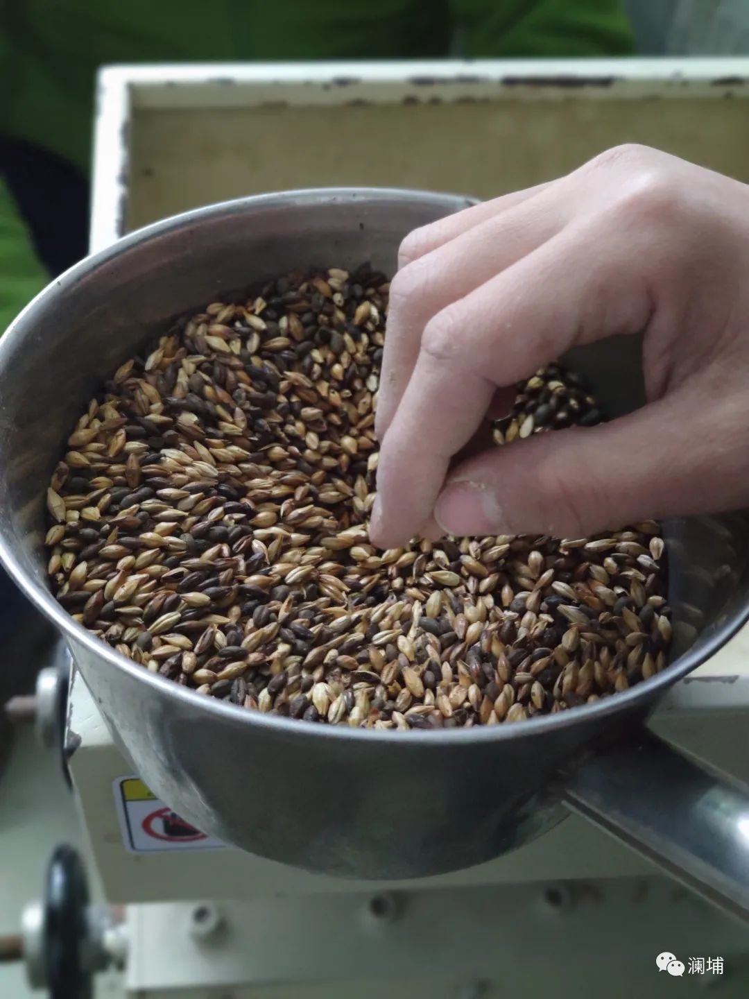 8月啤酒酿造初级课通知 8月啤酒酿造初级课通知