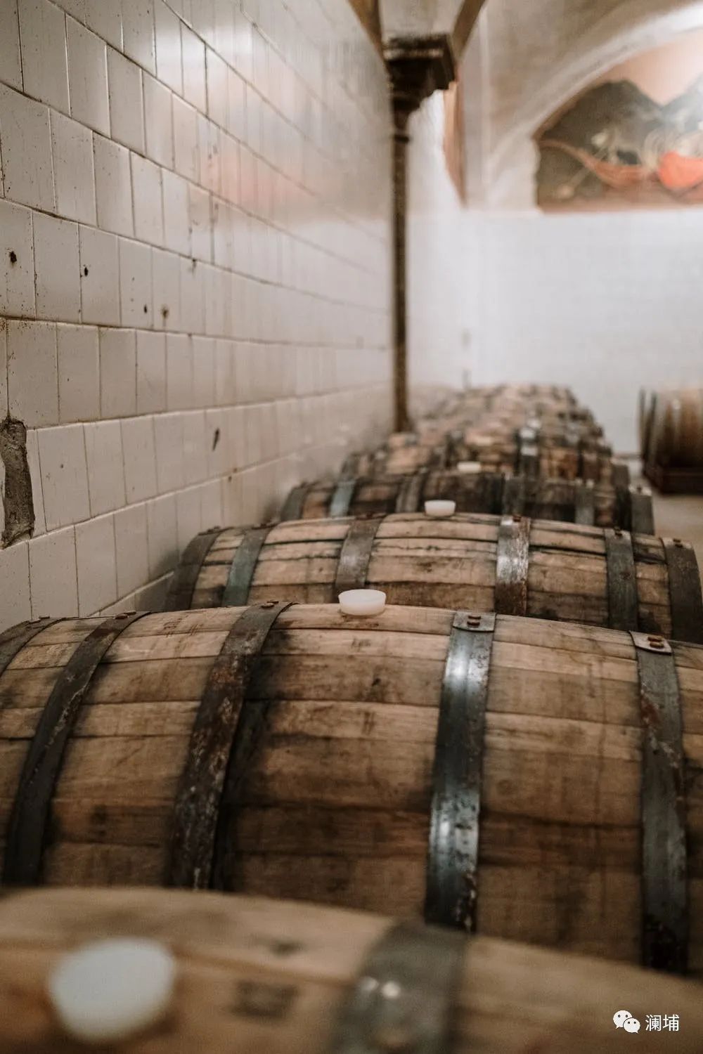 上新啦||澜埔威士忌酿造工艺课 上新啦||澜埔威士忌酿造工艺课