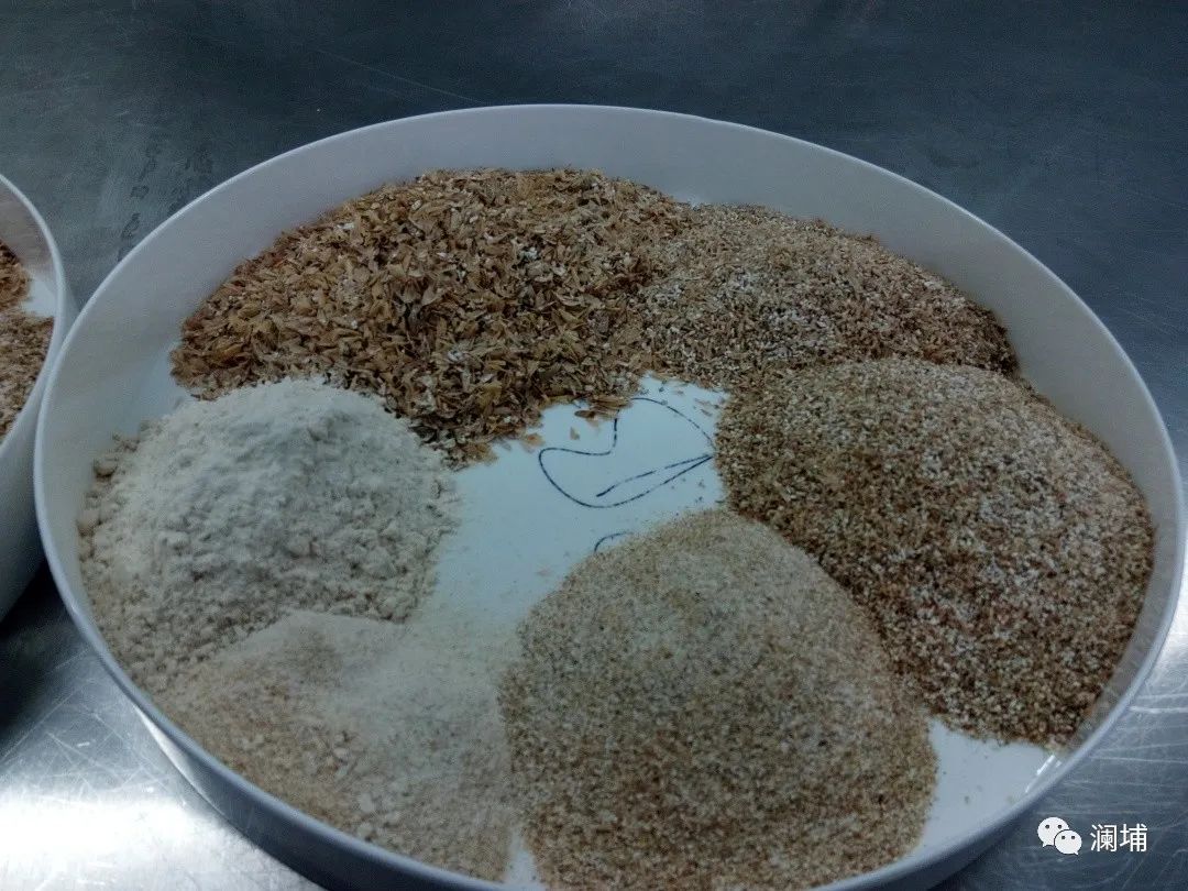 知识篇|如何控制合理的粉碎度 知识篇|如何控制合理的粉碎度