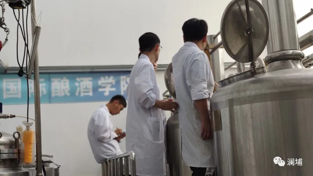 回顾|叮!新手村任务完成 回顾|叮!新手村任务完成