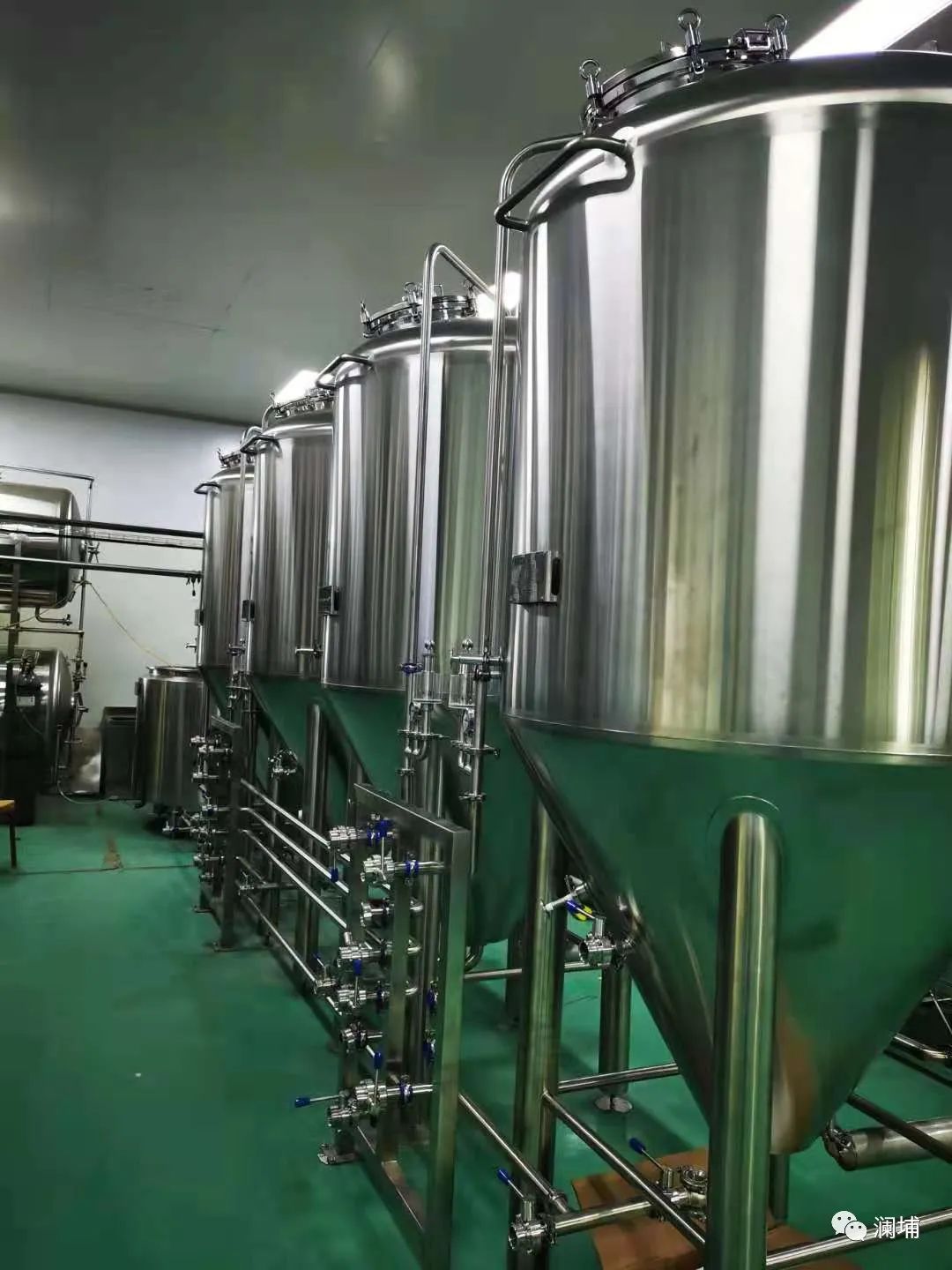 同学,酵母专题课报名进行中 同学,酵母专题课报名进行中