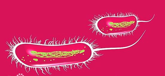 干货课堂|啤酒生产卫生危害 干货课堂|啤酒生产卫生危害