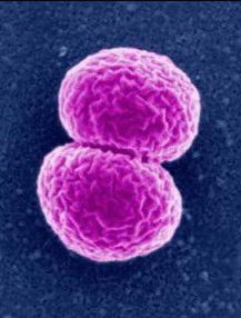 干货课堂|啤酒生产卫生危害 干货课堂|啤酒生产卫生危害