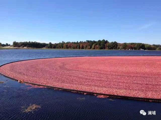 我是怎么混入精酿圈的(2) 我是怎么混入精酿圈的(2)