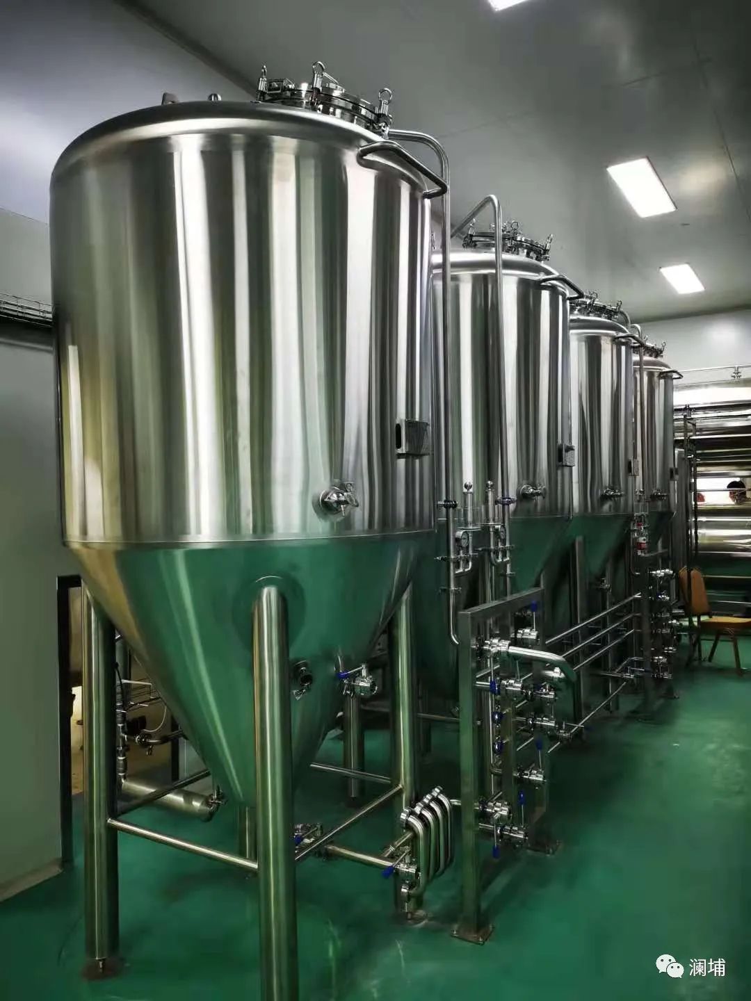 同学,酵母专题课报名进行中 同学,酵母专题课报名进行中