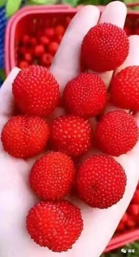 我是怎么混入精酿圈的(3) 我是怎么混入精酿圈的(3)