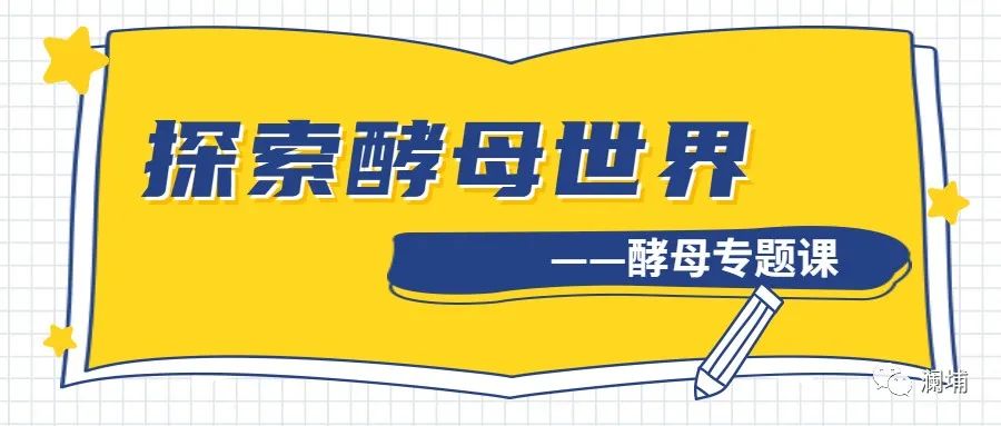 同学,酵母专题课报名进行中 同学,酵母专题课报名进行中